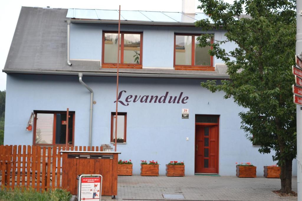 برنو Levandule المظهر الخارجي الصورة