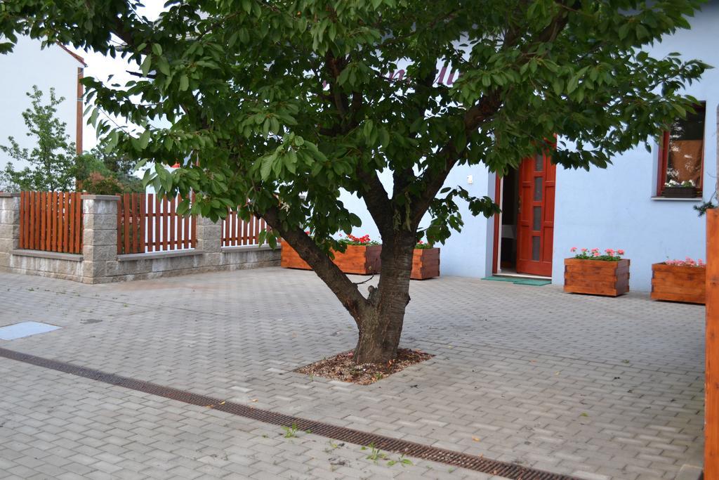 برنو Levandule المظهر الخارجي الصورة