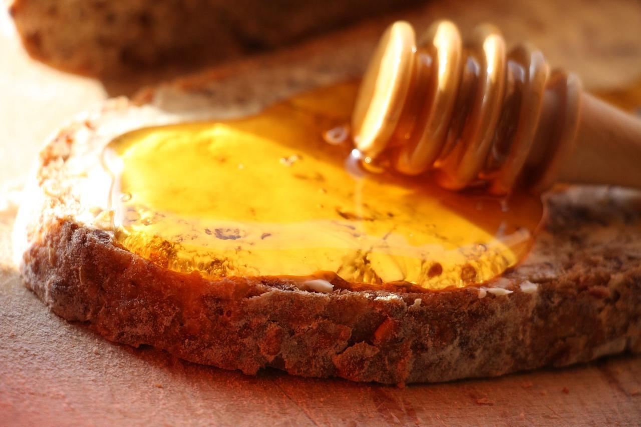 برنو Levandule المظهر الخارجي الصورة